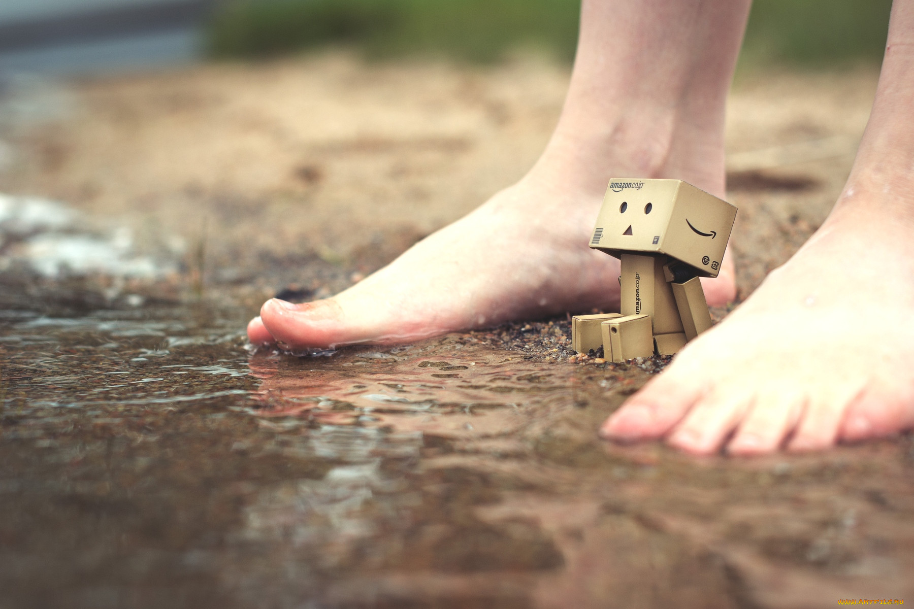 , , danboard, , 